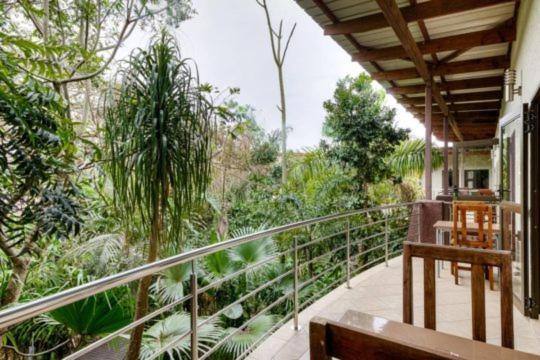 Forest Lodge Japaratinga Ngoại thất bức ảnh