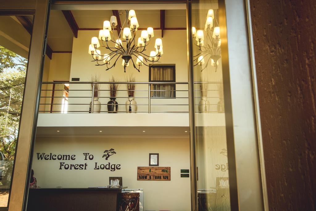 Forest Lodge Japaratinga Ngoại thất bức ảnh