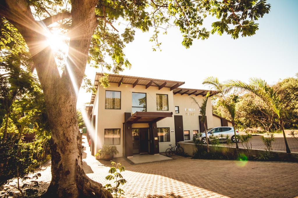 Forest Lodge Japaratinga Ngoại thất bức ảnh