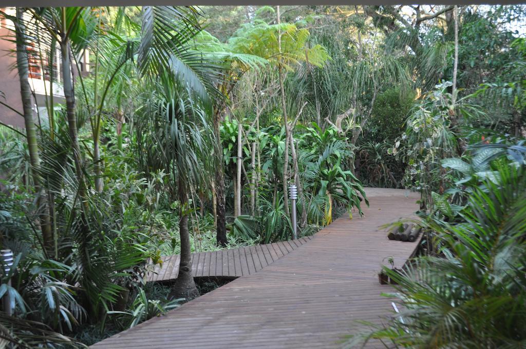 Forest Lodge Japaratinga Ngoại thất bức ảnh