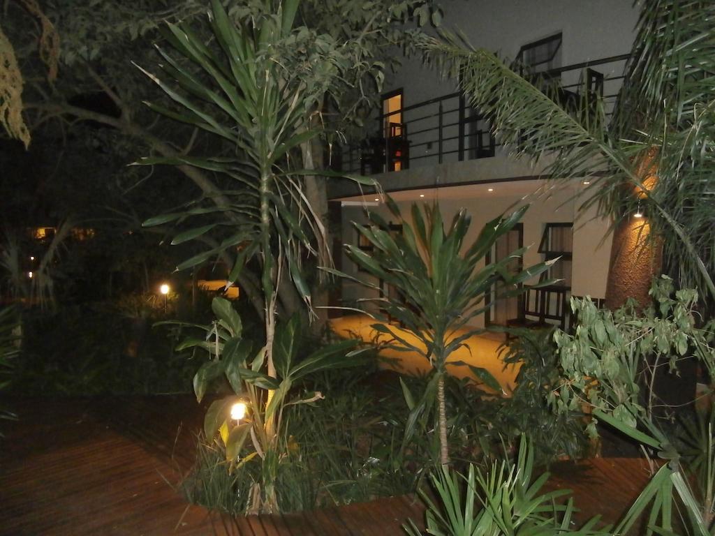 Forest Lodge Japaratinga Ngoại thất bức ảnh