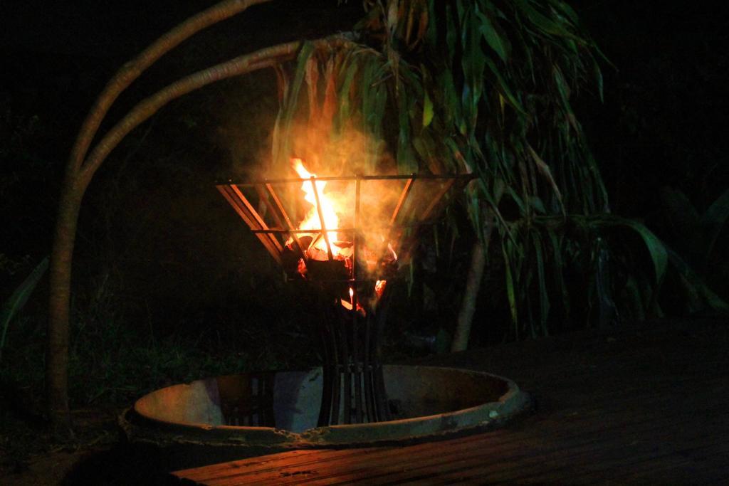 Forest Lodge Japaratinga Ngoại thất bức ảnh