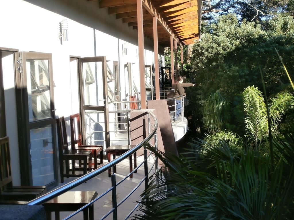 Forest Lodge Japaratinga Ngoại thất bức ảnh