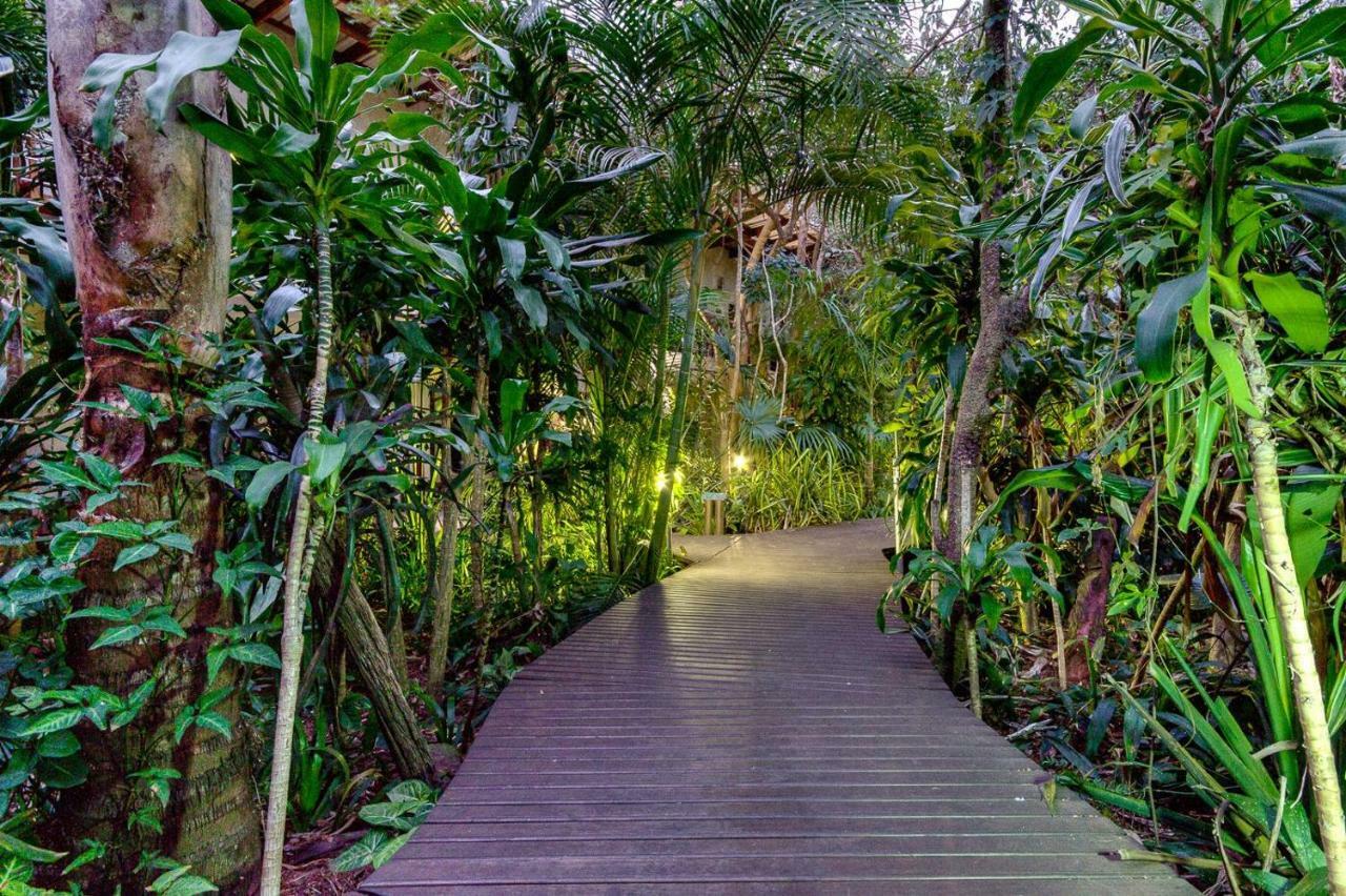 Forest Lodge Japaratinga Ngoại thất bức ảnh