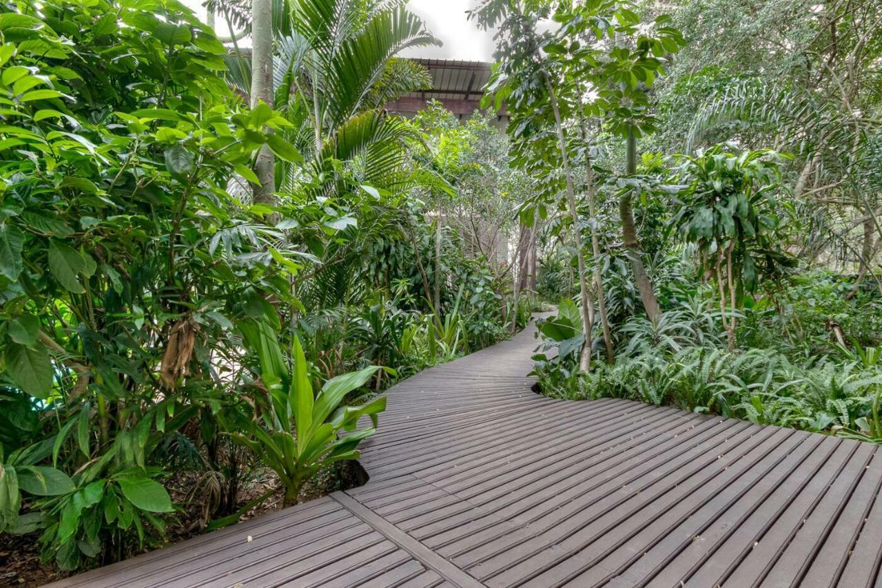 Forest Lodge Japaratinga Ngoại thất bức ảnh